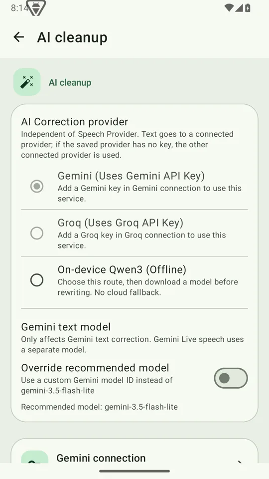 AI cleanup settings with Gemini selected as the correction provider
