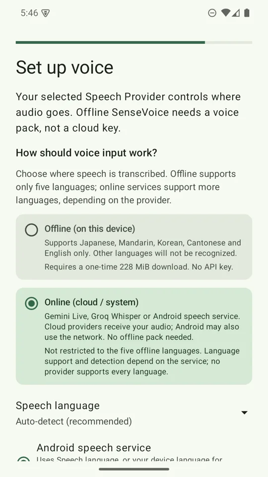 Set up voice screen offering Offline (on this device) or Online (cloud / system) dictation